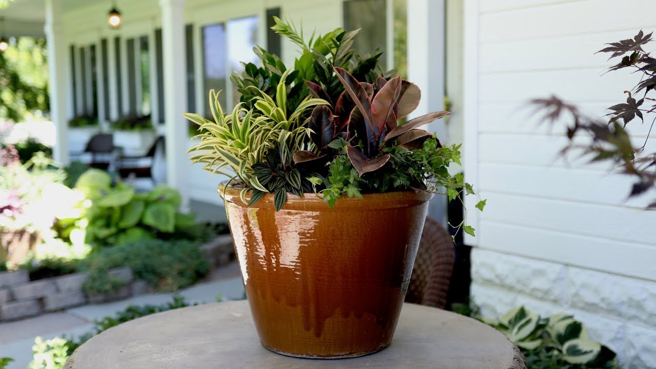 A New Houseplant Arrangement for My In-Laws