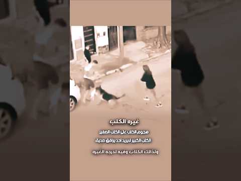 الوفاءللحيوانات--#عبارات#اقتباسات#خواطر#اكسبلور #حالات_واتس #لايك #shorts