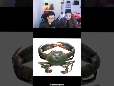 Gambar kepiting bergerak? #ngeshortsbareng #makassarbagaya