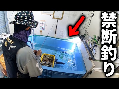 【禁断】鮮魚店の生け簀で釣りしてみた！