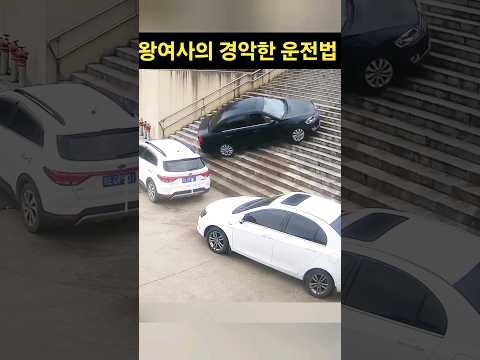 왕여사의 경악한 운전법!