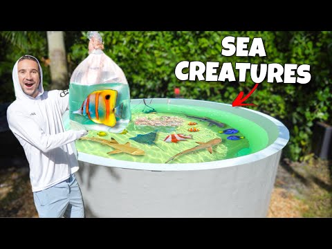 Buying The RAREST SEA CREATURE I've Ever Seen For My SALTWATER POND!