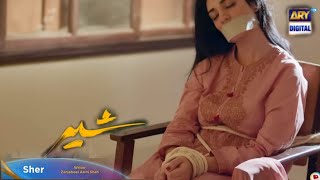 Sher Episode 26 Teaser | Danish Taimoor | Sara Khan | ARY Digital