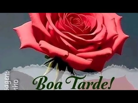 MENSAGEM DE BOA TARDE AMIGOS 🌺 💝