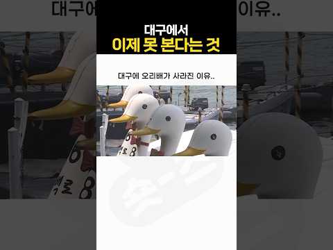 대구에서 이제 못 본다는 것