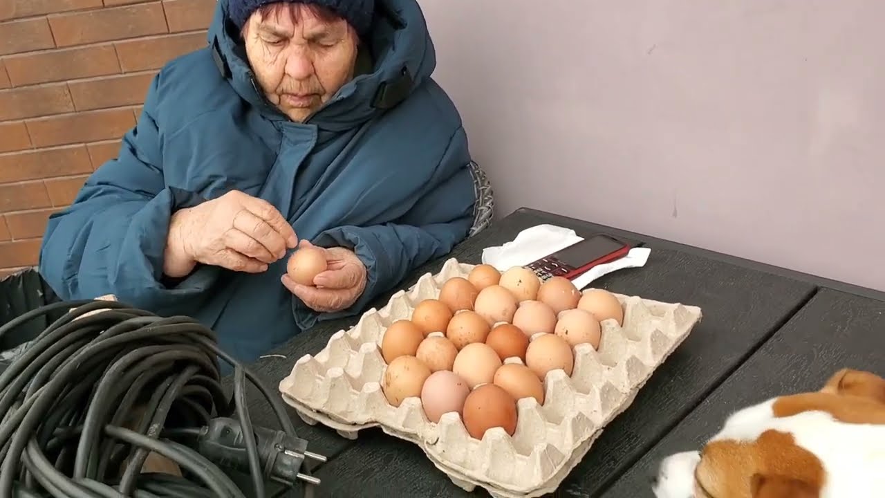 Чистый Четверг! Купили яйца! Подстригли газон