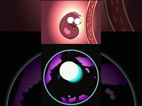 #humor #historiass #shortvideo #funny #comedia #risas créditos a casi creativo