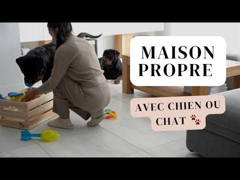 Comment garder une maison PROPRE avec CHIEN ou CHAT 🐾 : Astuces + Recette de biscuits maison🏡