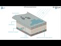 Urbanization and Environmental Impact