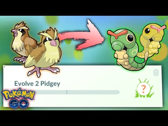 Evolve 2 Pidgey? K. ?