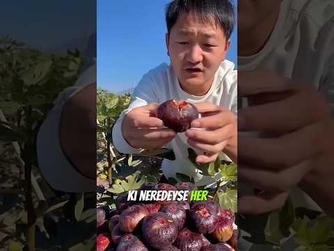Böyle Meyveler GÖRMEDİNİZ! 😵🍊 Çin Meyveleri Sınır Tanımıyor!
