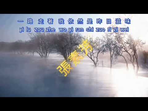 Yi Lu Xiang Bei {一路向北} karaoke no vocal female   女版伴奏