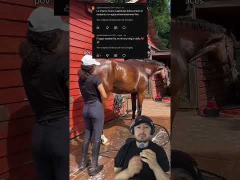 Porque al caballo le pasó eso #horse #caballos