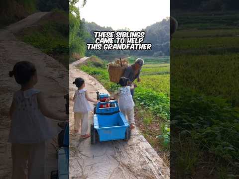 Siblings Help Elderly Man Carry Corn! 🌽❤