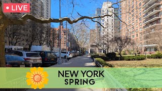 🔴 NYC LIVE | First Day of Spring in Manhattan ☀️ RIP Chuck Norris 🥋 (3/20/2026)