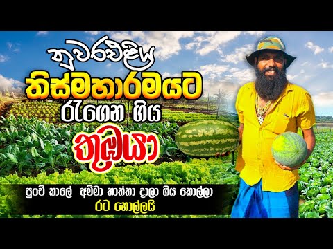 ඔබේ ඉඩමෙන් වැඩිම ආදායම ගන්න හැටි දැනගන්න! | Organic Vegetables farm in Thissamaharama | Thumbaya