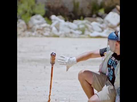 "Top 10 Slow Motion Videos You Must Watch!😨 | Fact King | #facts #ytshorts