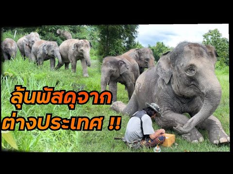 ลุ้นพัสดุกันตาตั้ง ‼️ของฝากจากต่างประเทศ อะไรน๊าา ?