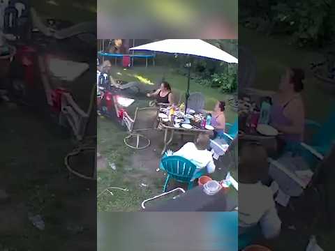 Backyard Fails That Made Neighbors Call the Police #shorts
