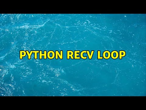 Python recv Loop