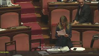 Roma - Senato - 19° Legislatura - 330° seduta (17.07.25)