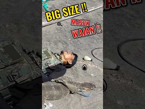 SAATNYA MANDI BUMBU ‼️BIGE SIZE MASUK WAJAN ‼️