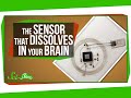 Biodegradable Sensors and Wearable Technology