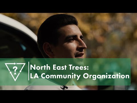 Behind North East Trees | GUESS Advocacy