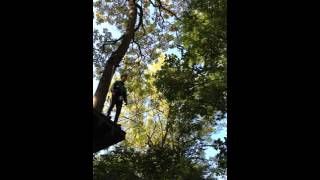 Queen Elizabeth Sixth Form College - Aerial Extreme III