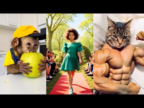 Cute collection😂😂😂2025/6/24