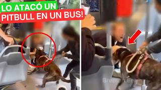 Pitbull ATACA dentro de un autobús lleno de gente! 😱 Y su dueña hizo esto! 🚨