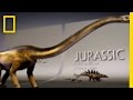 Dinosaur Evolution and Fossil Record