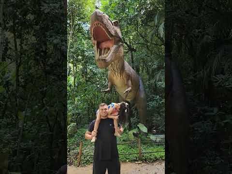 Cuidado dinossauro #shorts #trex