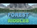 Video for Forest Riddles