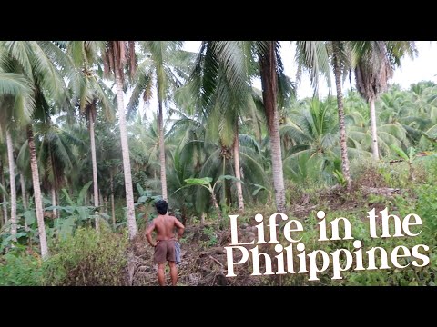 LIFE IN THE PHILIPPINES: BUKID UPDATE. MINI TOUR IN OUR COCONUT FARM⎮ Liebe Ann❤︎