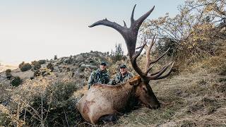 400+” New Zealand Elk | An Unforgettable Hunt