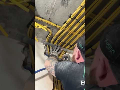 17 февраля 2026 г.