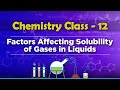 Gas Solubility and Carbonation Effects