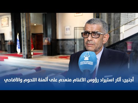 أجنين.. آثار استيراد رؤوس الأغنام منعدم على أثمنة اللحوم والأضاحي