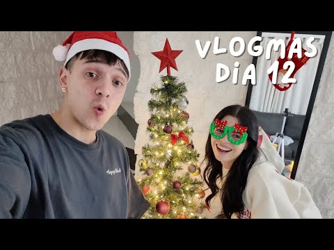 ARMANDO el ARBOLITO 🎄 *quedó muy lindo* | Vlogmas #12