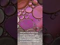 Understanding Cohesion and Adhesion in Liquids