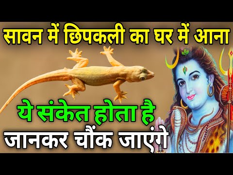 सावन में 😱 घर में छिपकली आने से क्या होता है जानिए घर में छिपकली का होना शुभ होता है या अशुभ #Sawan