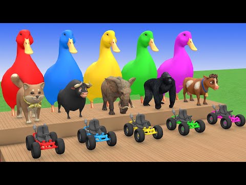 Long Slide Game With Elephant Gorilla Buffalo Hippopotamus Tiger 3d Animal Game Funny 3d Animals