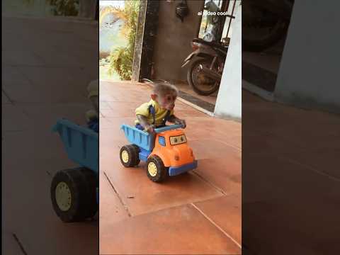 Funny Monkey Moments||#short