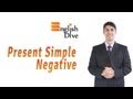 Negative Forms in Present Simple