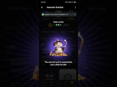 2 july hamster kombat daily combo cards|daily combo hamster kombat today