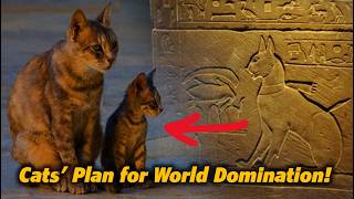How Cats Domesticated Humans: The Untold Story