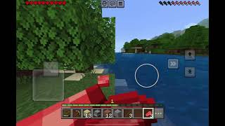 Playing Minecraft with my siblings