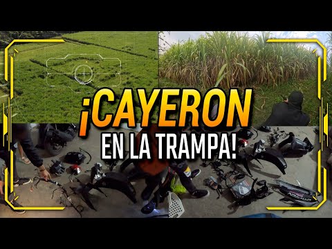 💥 ¡LE TENDIMOS UNA TRAMPA Y NOS LLEVÓ AL DESGUAZADERO! 💥