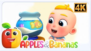 Orange, my favorite color, Animated Educational Story for Kids